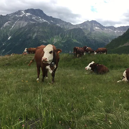 L'aiglon Alojamento de Acomodação e Pequeno-almoço Saint-Gervais-les-Bains