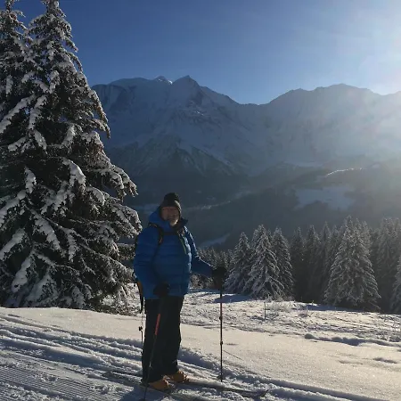 L'aiglon Saint-Gervais-les-Bains