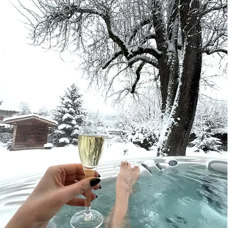 Chalet Aiglon