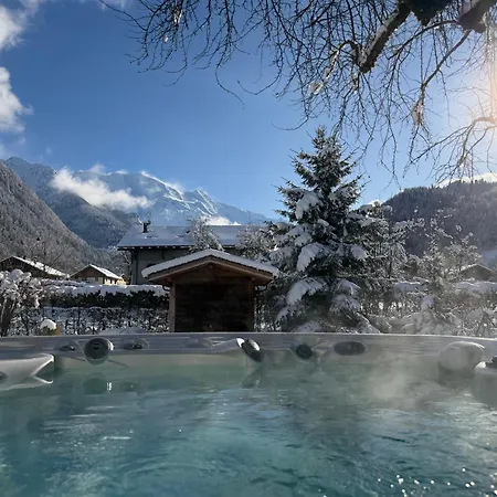 Bed & Breakfast Chalet Aiglon